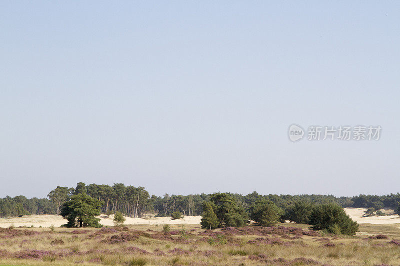 荷兰景观:沙丘(Wekeromse Zand)